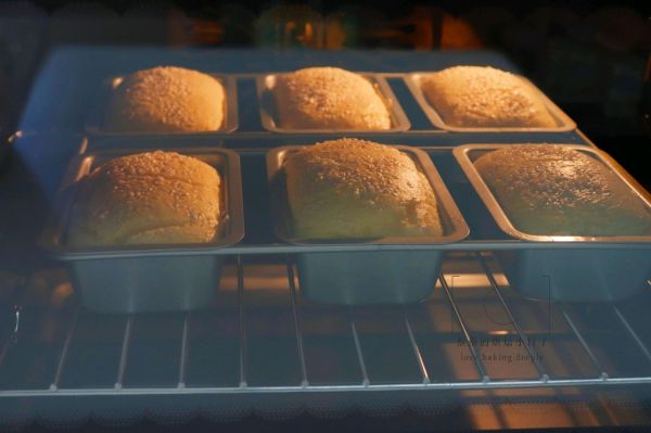 老式蜂蜜脆皮蛋糕