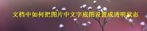 文档中如何把图片中文字底图设置成透明状态