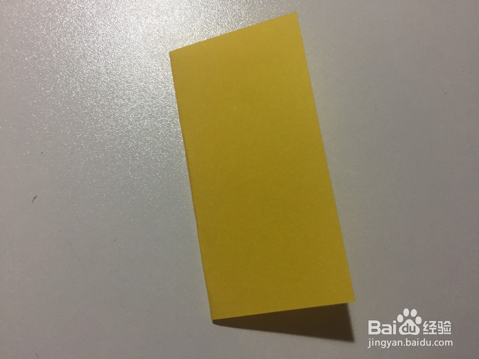 幼儿剪纸——如何用彩纸剪乌龟？