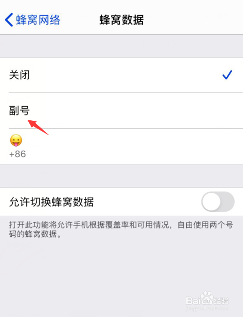 苹果手机移动数据怎么开