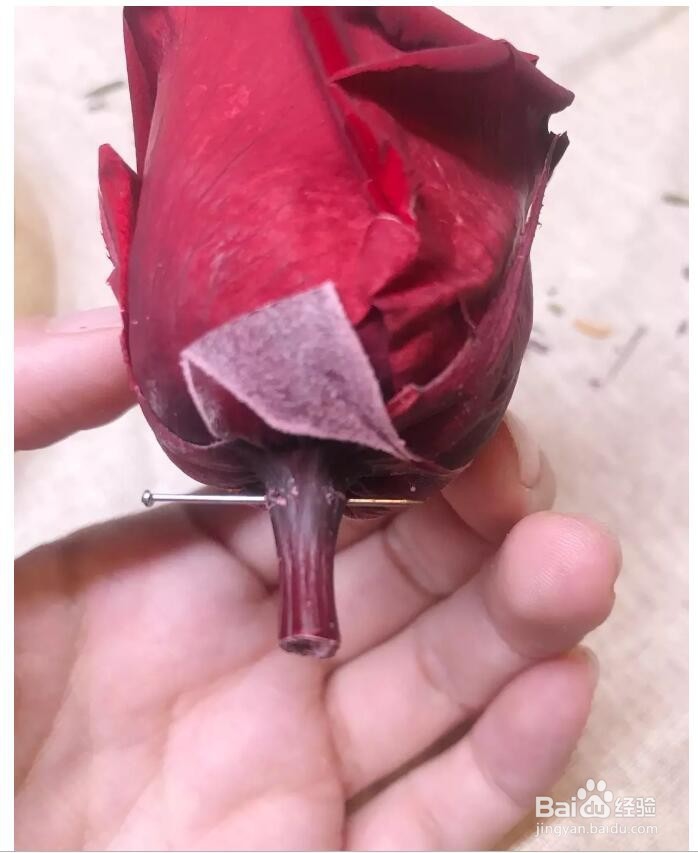 永生花制作方法