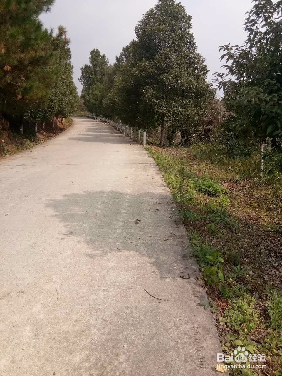 田云青老师旅游景观册编辑方法