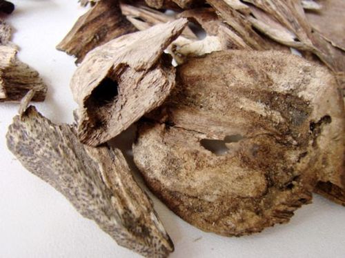 怎样辨别沉香的真假