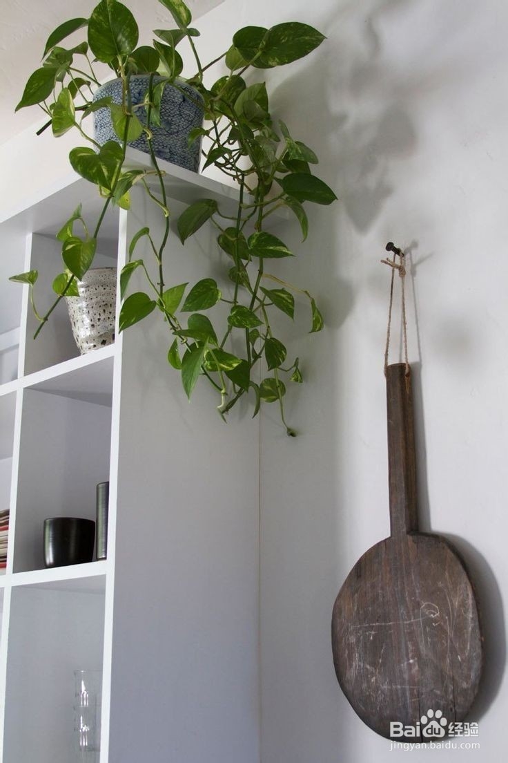 装修污染的危害以及怎样解决