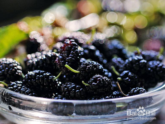 我们平常吃的桑葚对身体有什么益处？