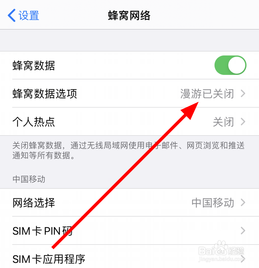 苹果/iPhone11怎么打开低数据模式