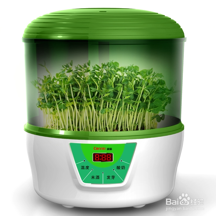 小熊豆芽机价格？家用小型豆芽机品牌？