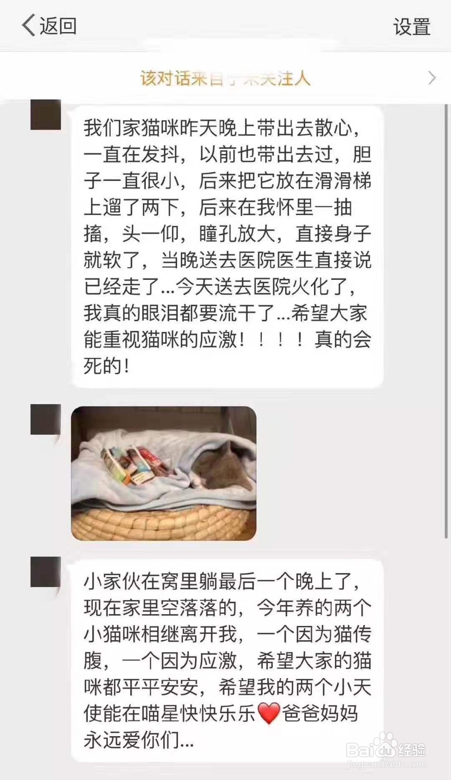 如何正确看待猫猫的应激反应
