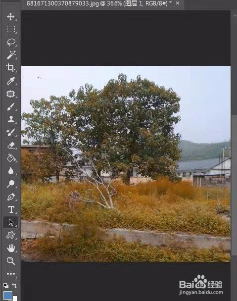 如何用ps把夏天的景色变成秋天的