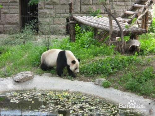带孩子去北京旅游攻略