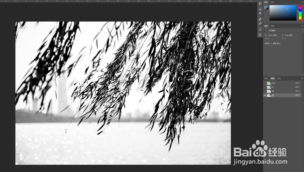 PS通道抠图杂乱的树叶