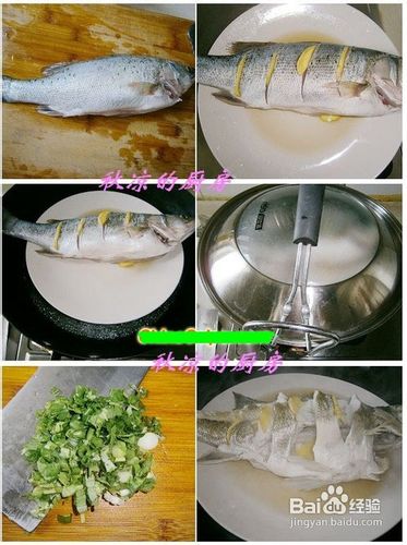 补精子小菜：清蒸海鲈鱼