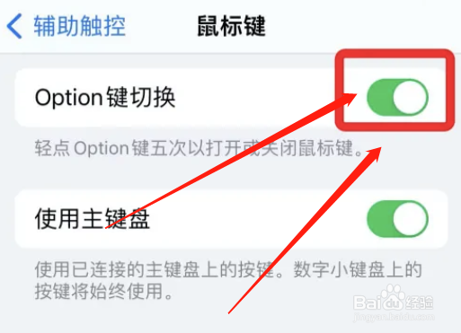 怎么开启苹果Option键切换功能