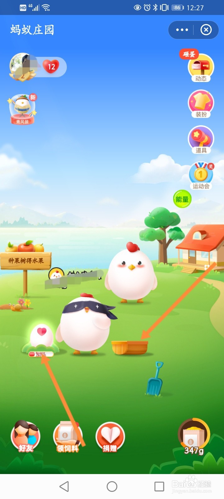 蚂蚁森林5点荣耀怎么获得
