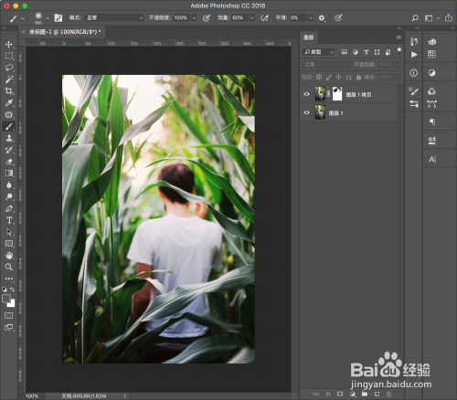 如何使用Photoshop使照片变得通透鲜亮