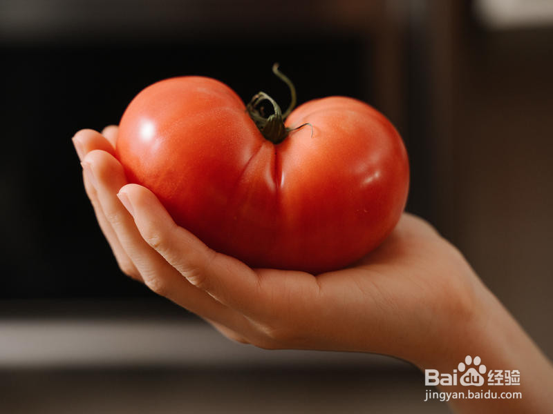 无水番茄牛腩的做法