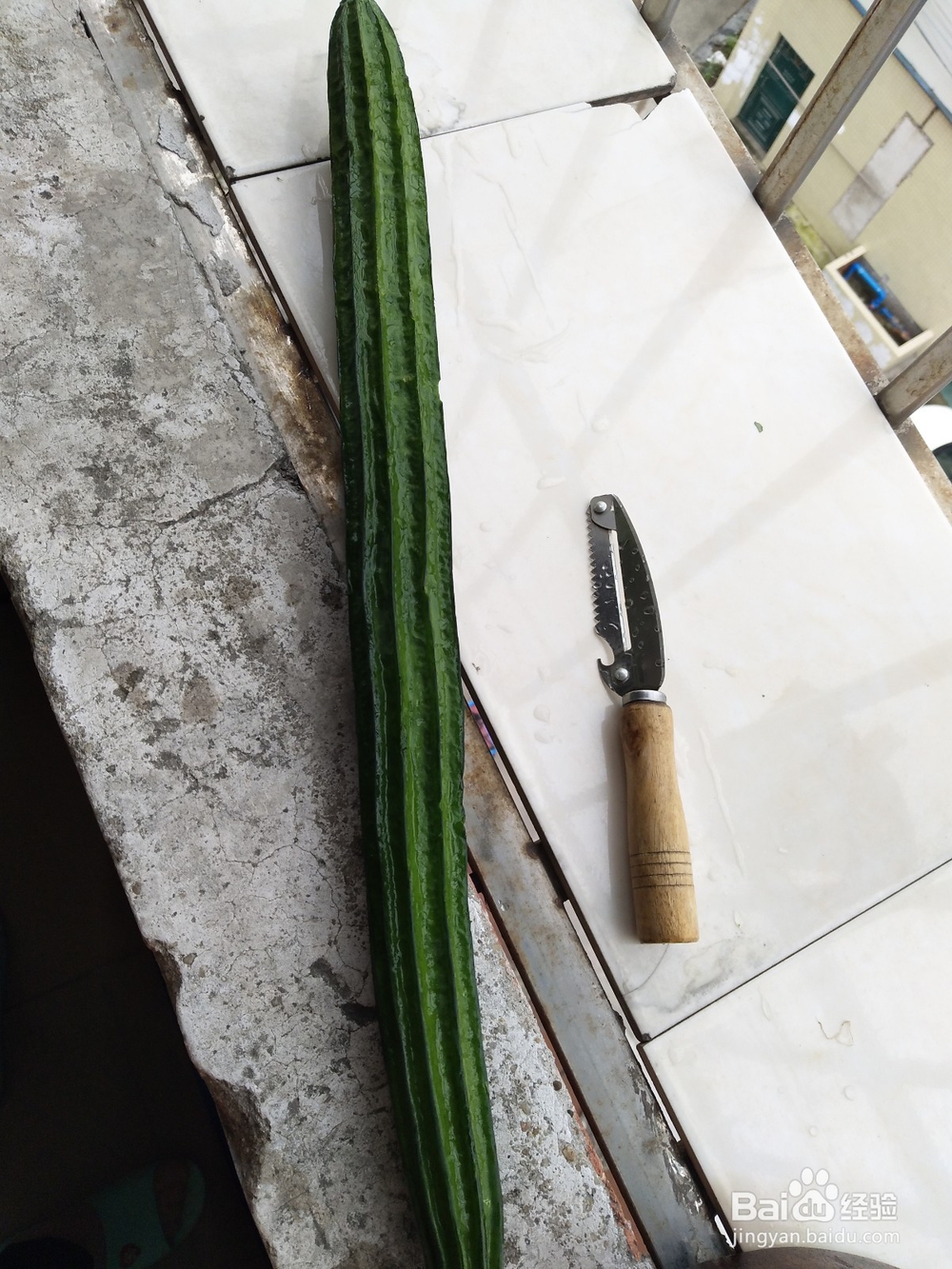 丝瓜炒鸡蛋简单容易学