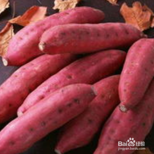 地瓜的储存方法有哪些?