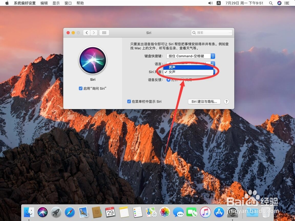 苹果电脑Mac系统如何修改Siri发音男声女声