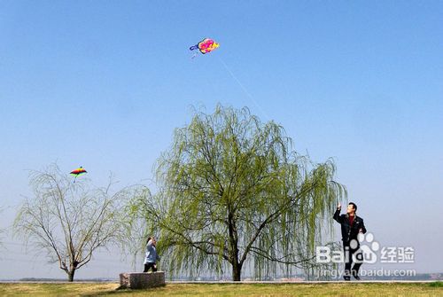 放风筝安全注意事项
