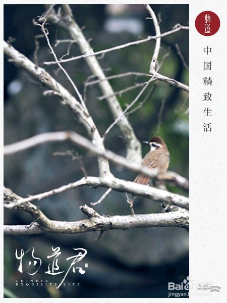 林清玄：你心柔软，却有力量