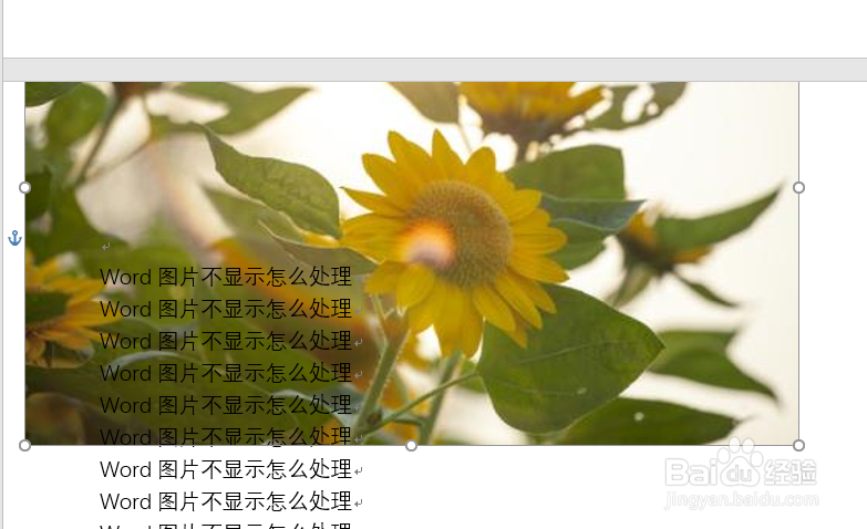 word插入图片不显示怎么解决