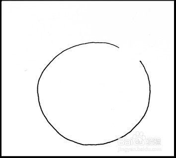 怎样画简笔画（花卉）：[5]仙人球