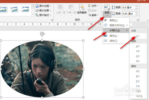 ppt如何将图片裁剪为圆形