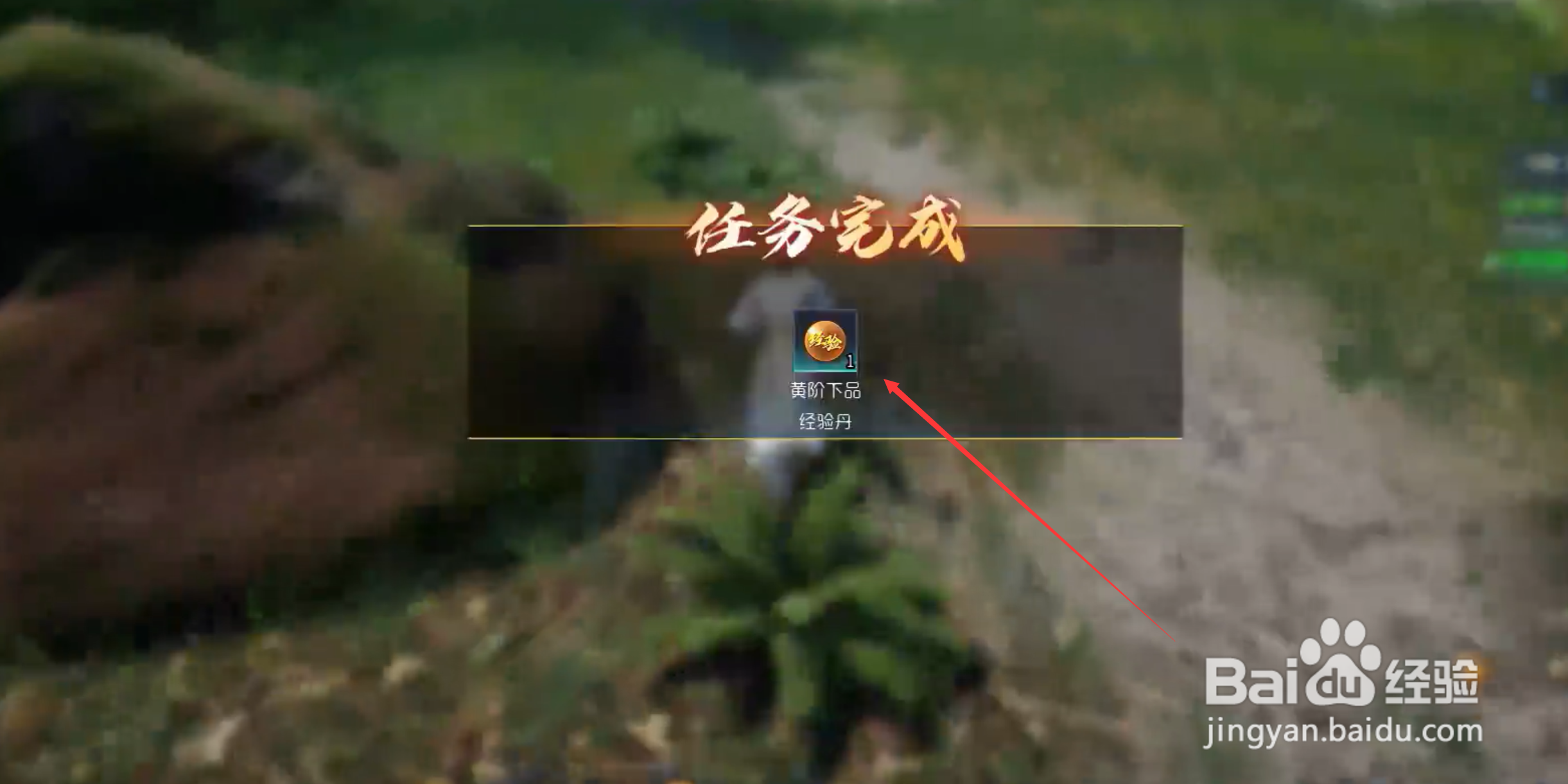 太初荒境经验丹怎么获得