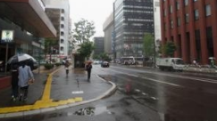 早上暴走减肥效果好吗