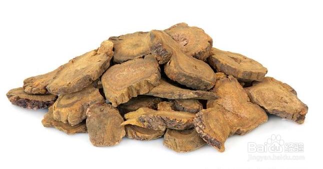 补肾不如保持肾脏健康