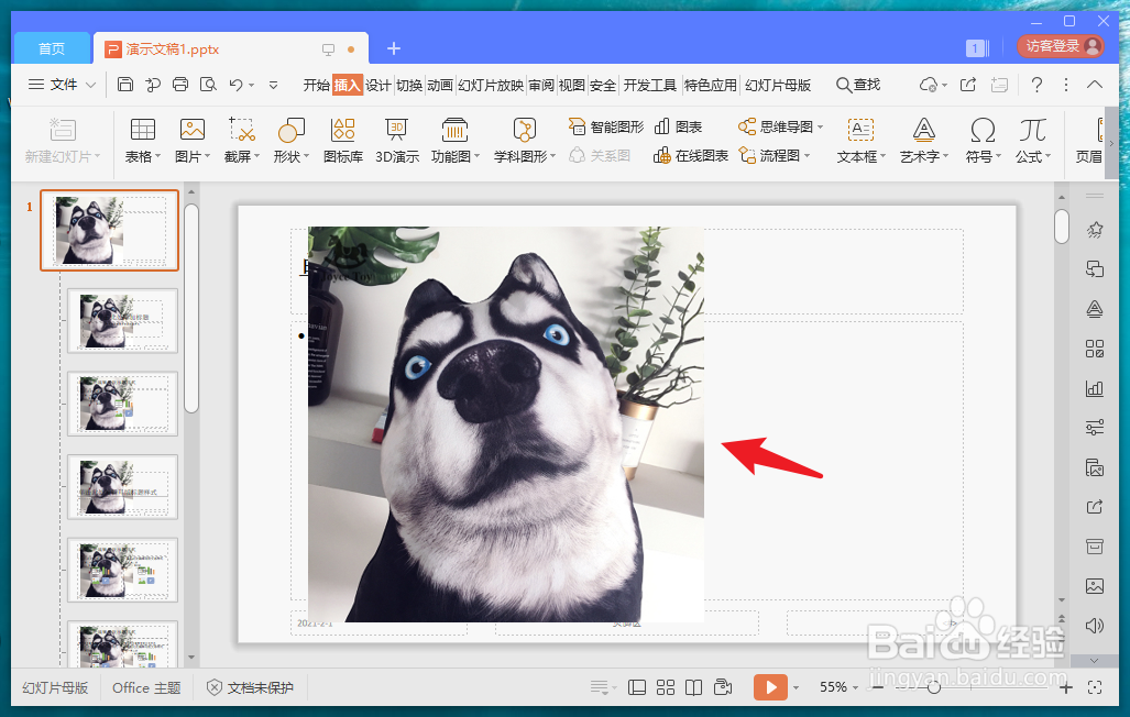 幻灯片母版怎么全部应用