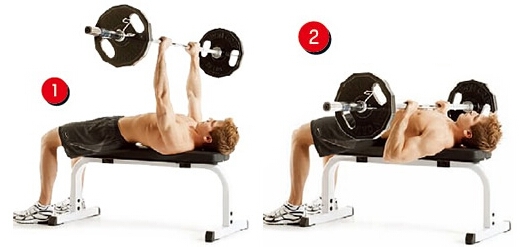 怎样练出完美肌肉：[7]肱三头肌