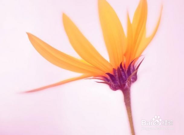 如何防止青少年患上近视？养成不良的行为习惯!