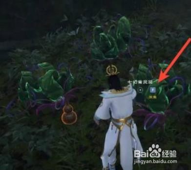 太荒初境七幻青灵涎如何获得