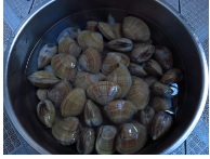 黄蚬子怎么吃
