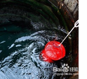 不打氧怎样养金鱼