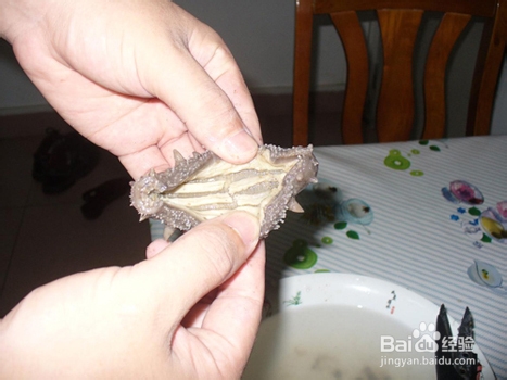 男人秋季养生 海参粥提高性能力食疗