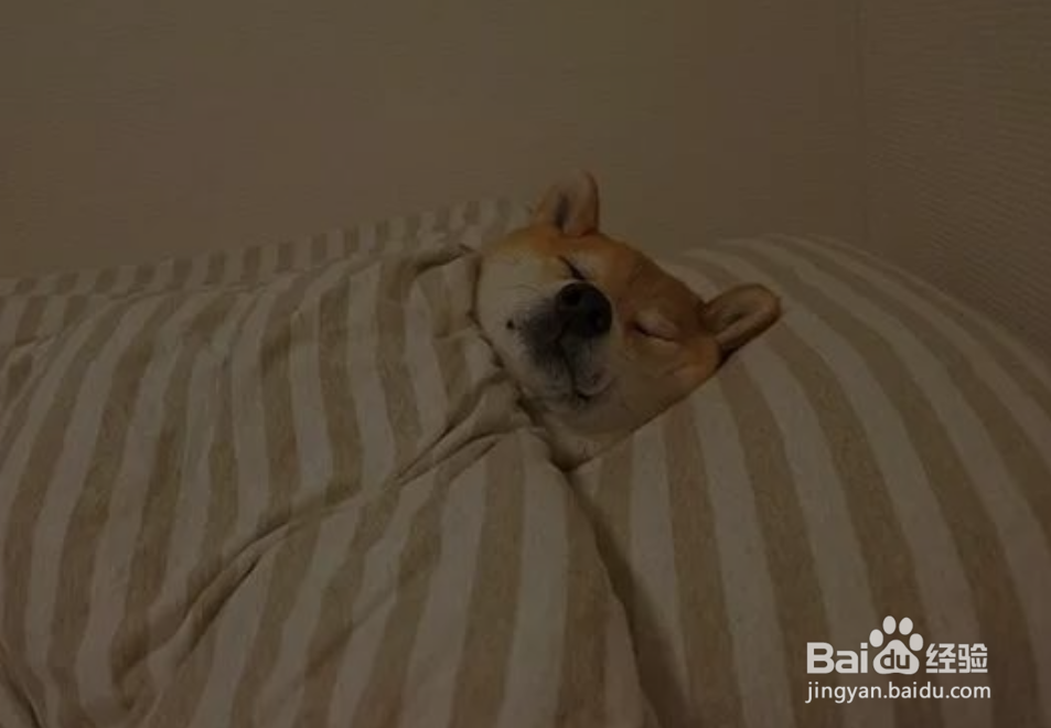 怎么快速入睡,提升睡眠质量