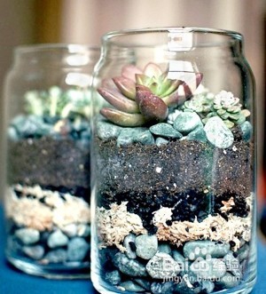 淤泥做花肥如何用