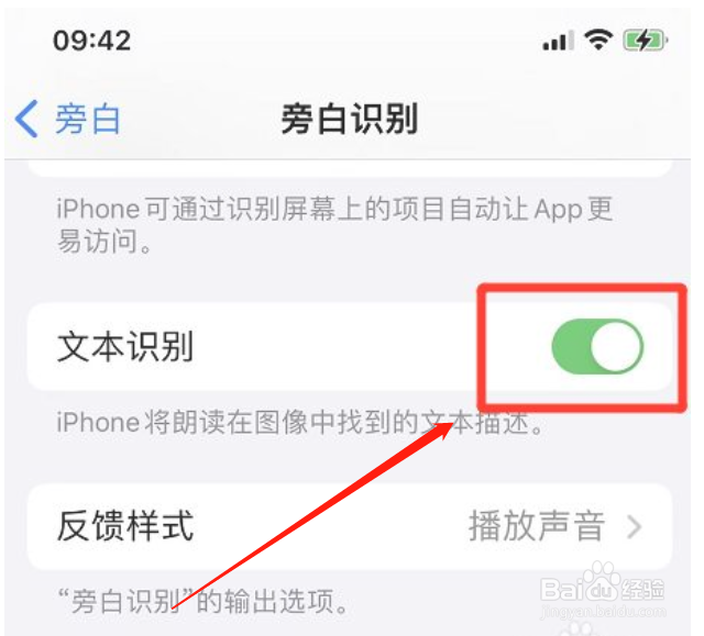 iphone手机旁白如何开启文本识别