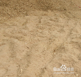 地下室如何种菇