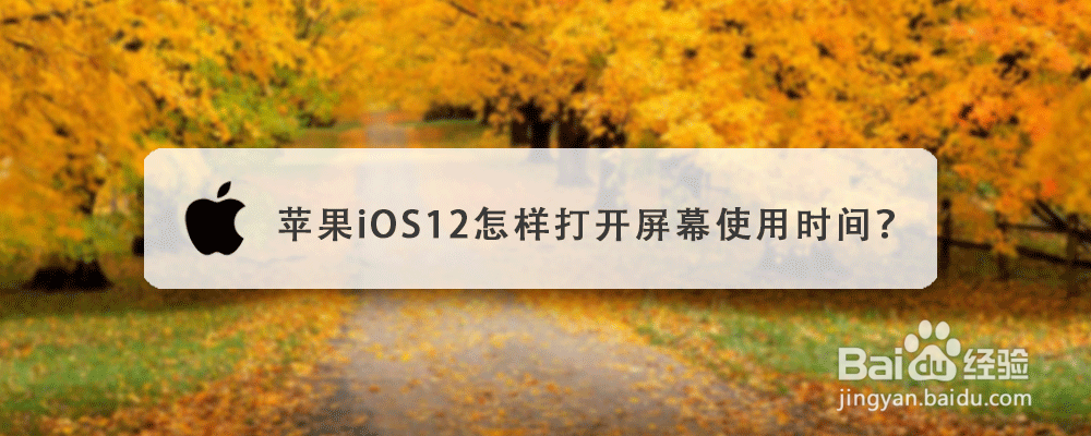 苹果iOS12怎样打开屏幕使用时间