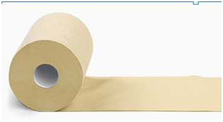 如何辨别本色纸,森林天使来教你