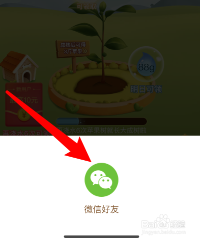 拼多多怎么加好友