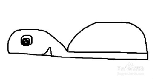 如何教儿童画数字创意画：[3]3变小乌龟的画法