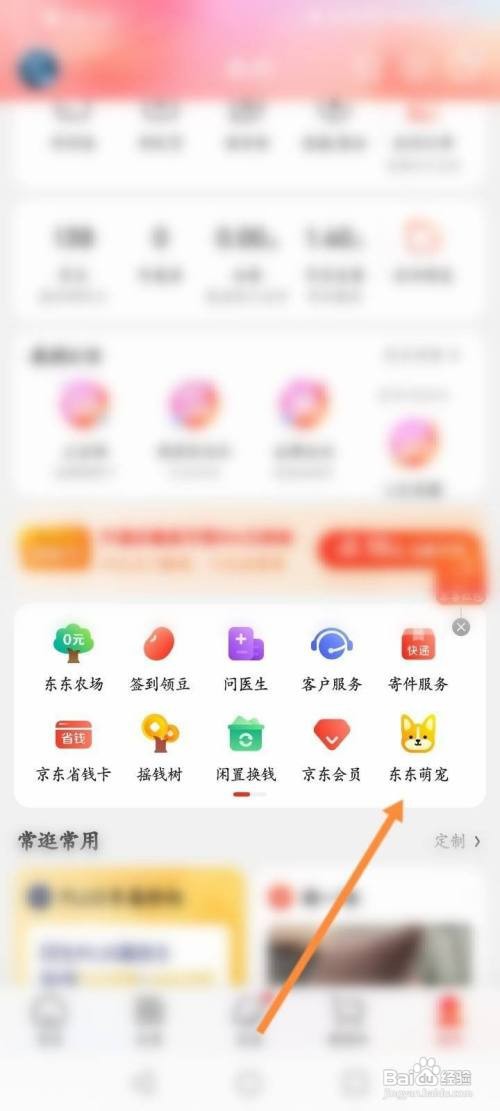 东东萌宠怎么领养萌宠