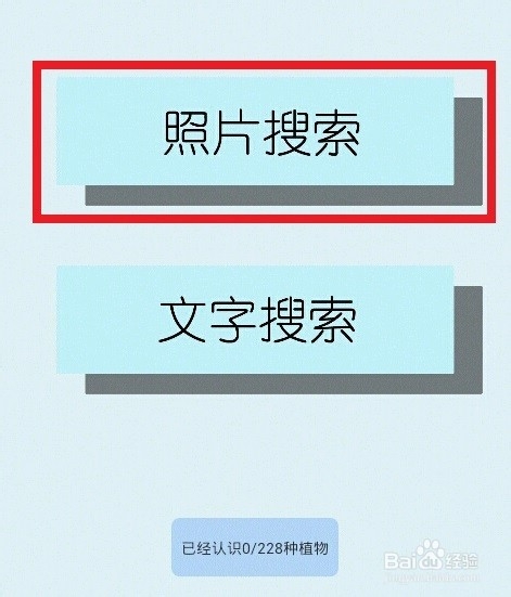 如何根据图片照片识别植物名称?