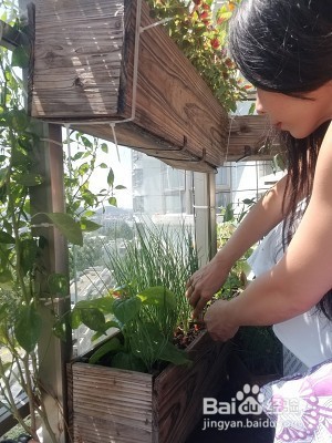 儿时回忆·猪油捞饭