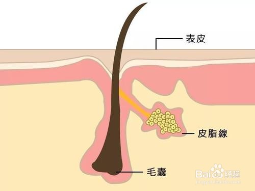 什么牌子的控油洗发水效果好